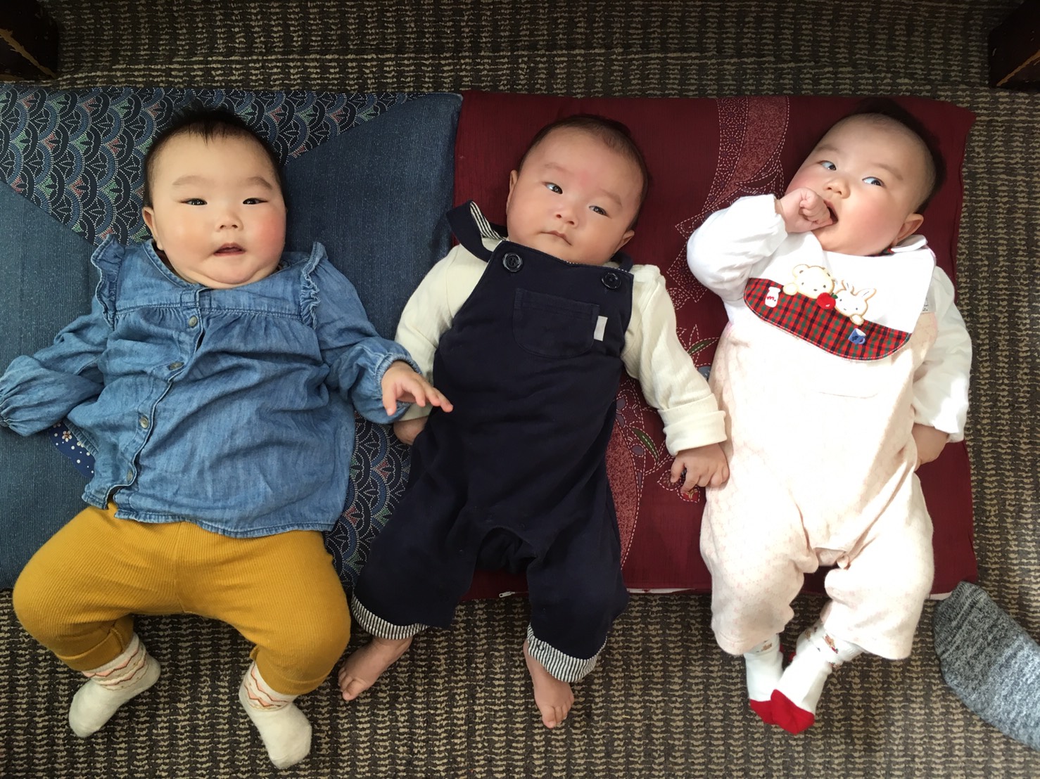 0歳児　大集合!!