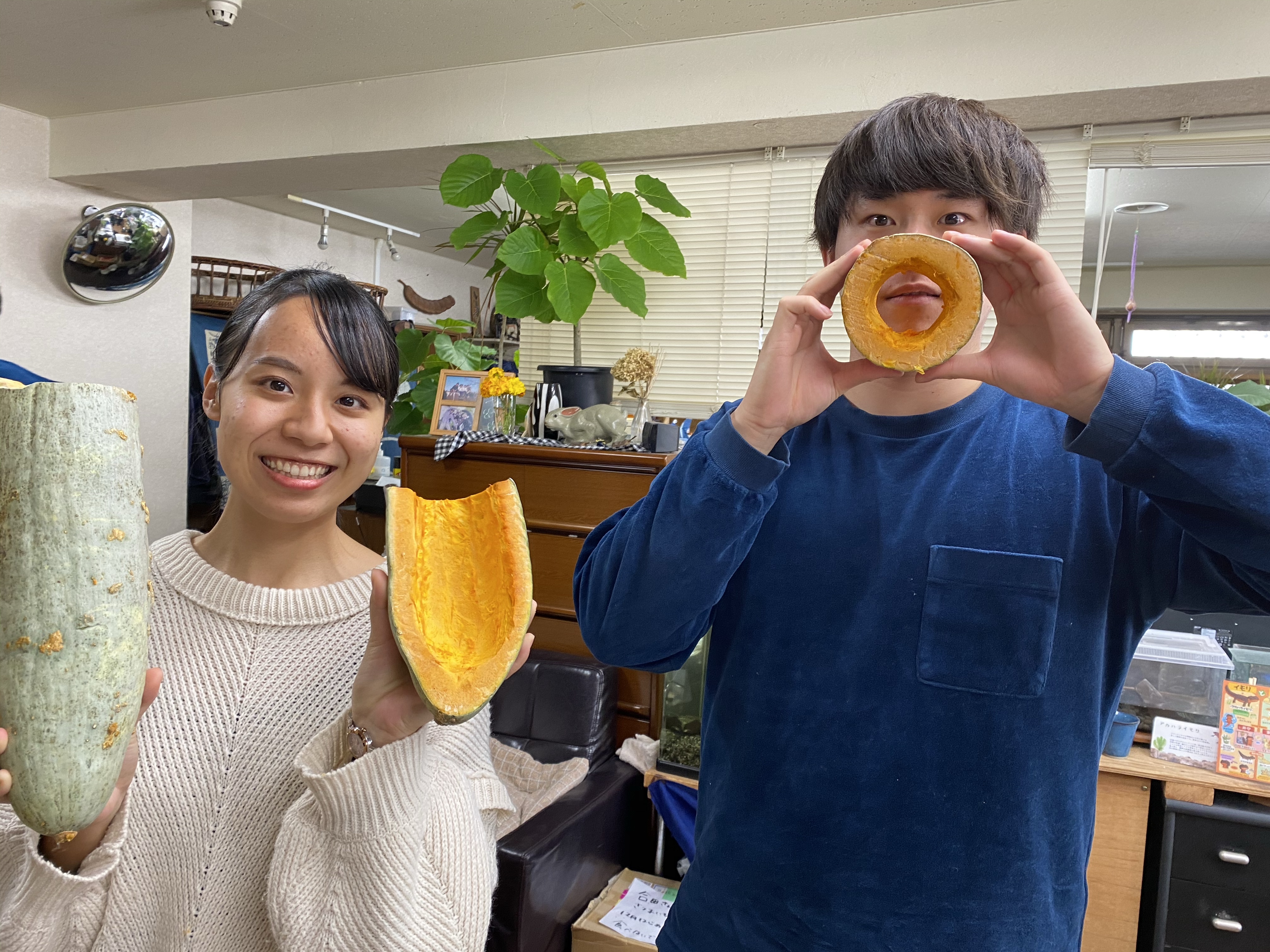 かぼちゃ大活躍！