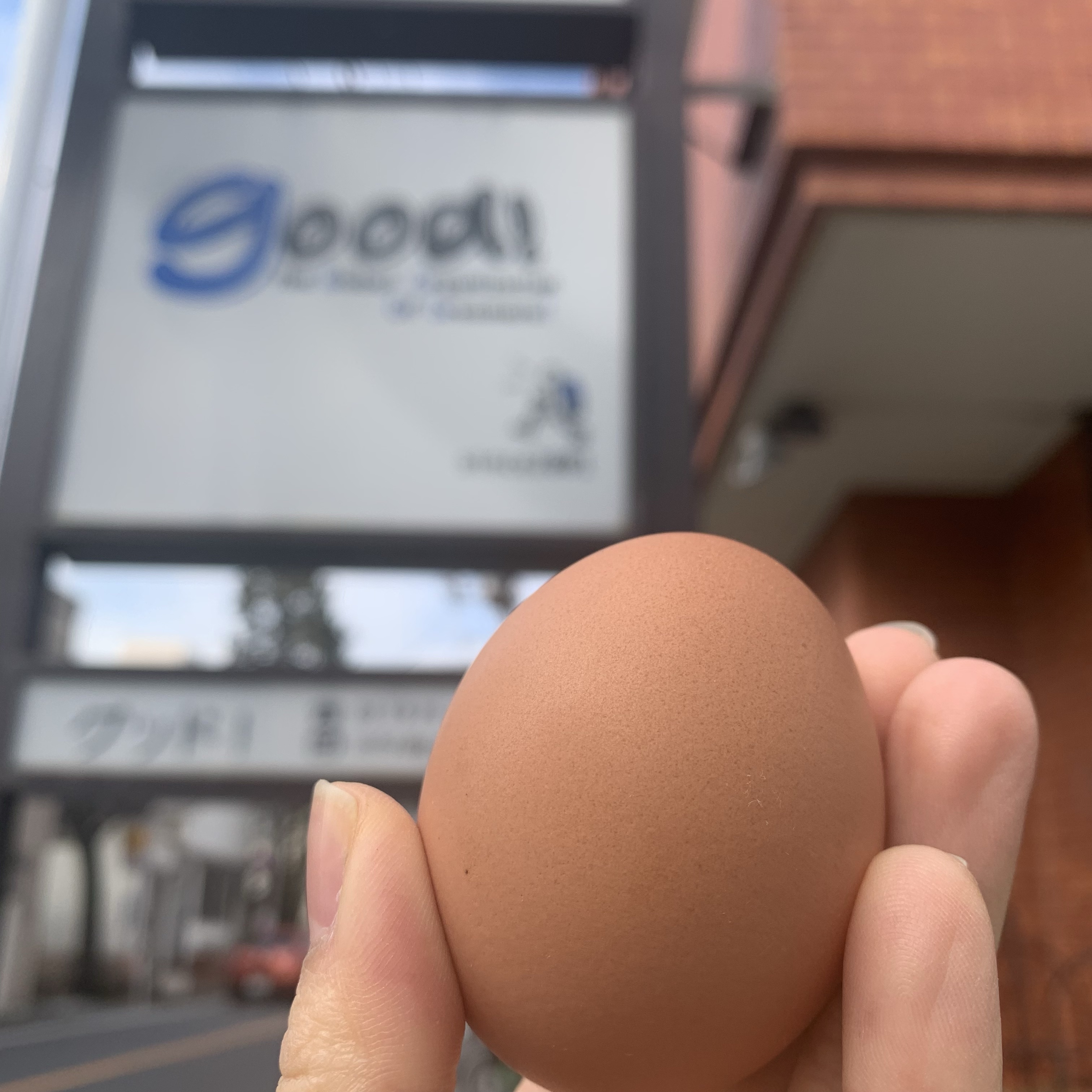 ”あがたま”で元気モリモリ！🥚