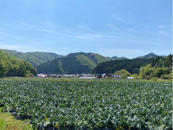 2022年GW 広島キャンプ報告！