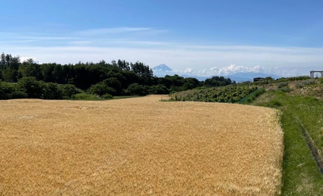 2022年6月山梨ワークキャンプ報告！