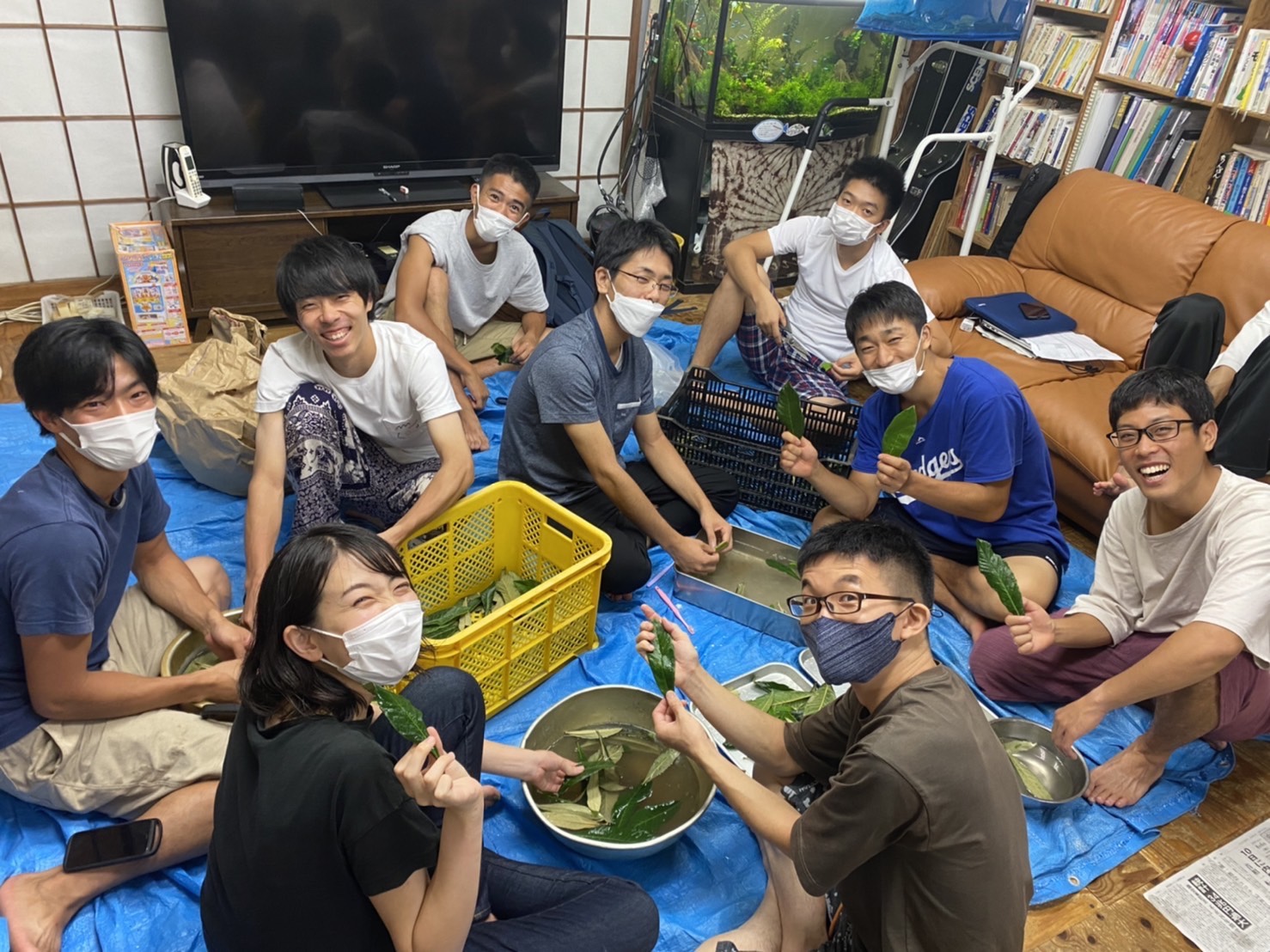 びわ茶作り！