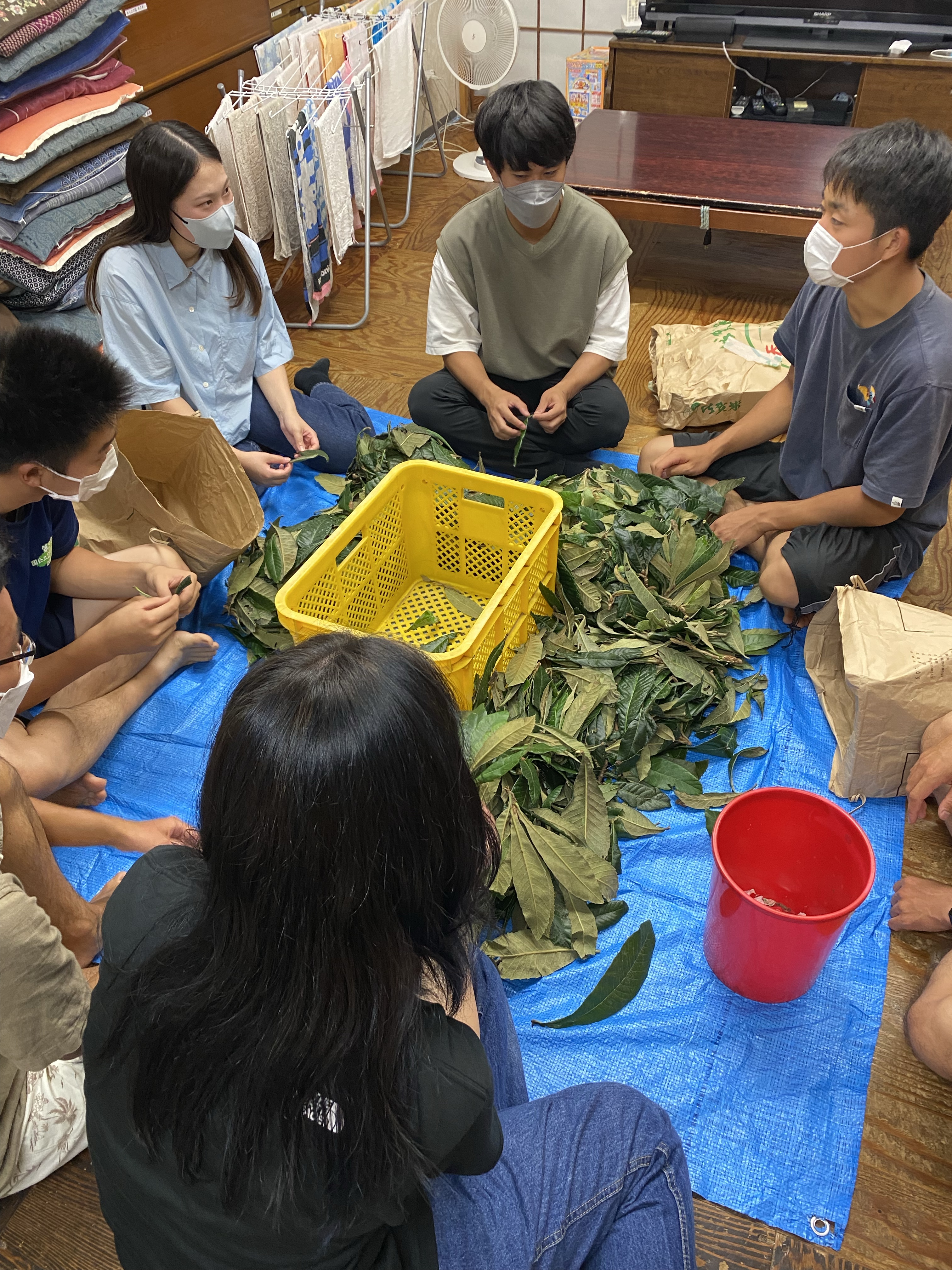 今日も熱いぞ！ビワワーク