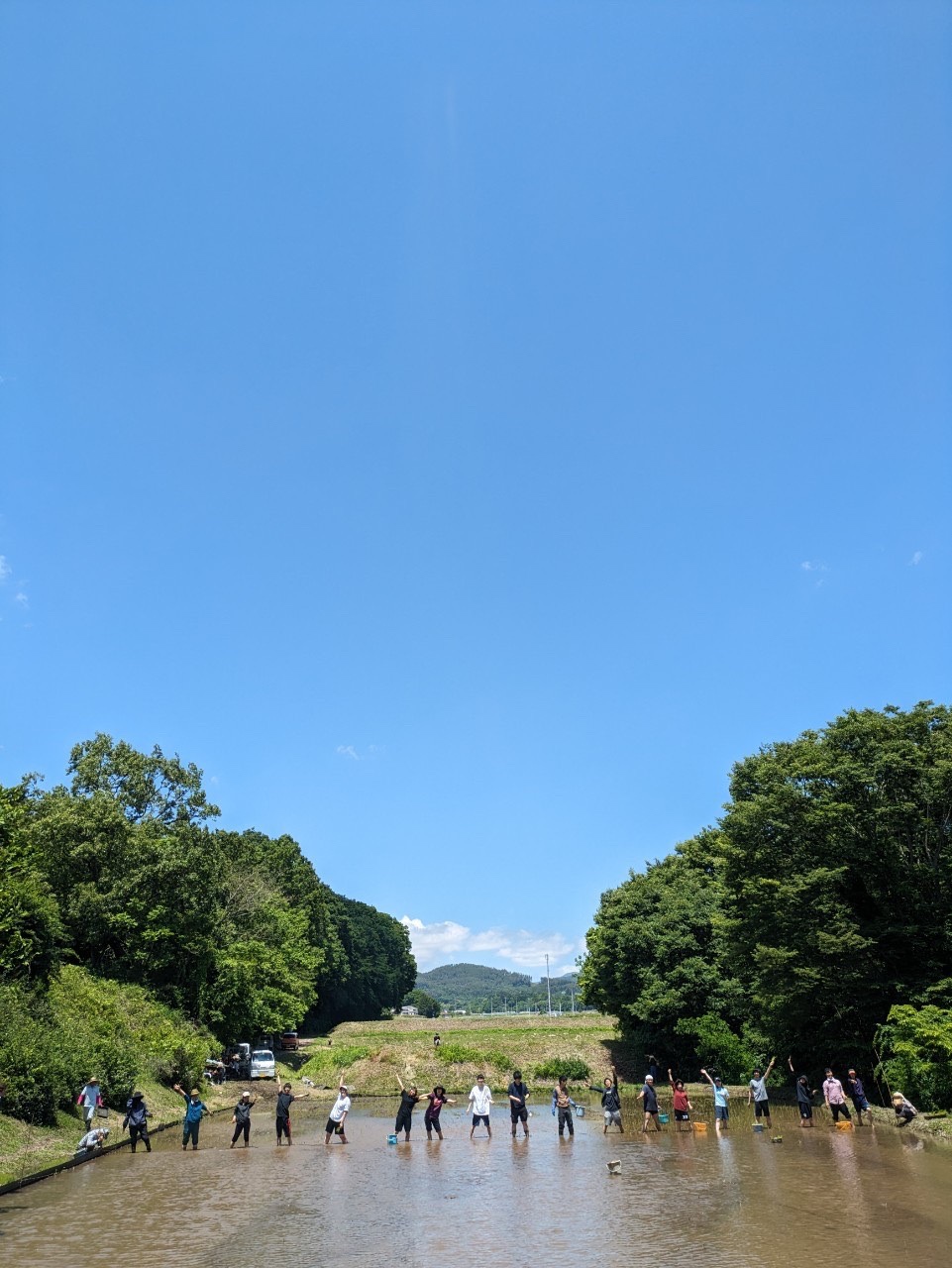 2023.6 山梨田植えワークキャンプ報告🌱
